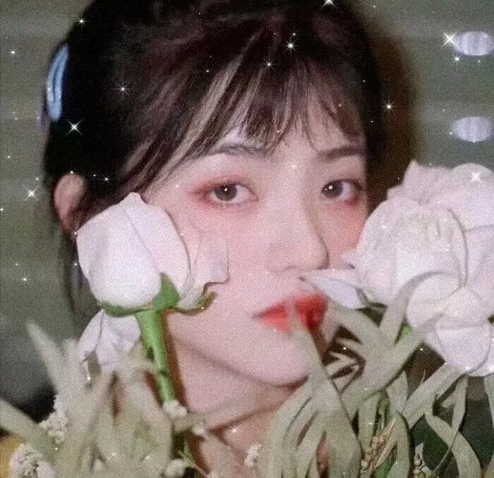 德黑兰禁忌